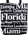 Florida Souvenir Letter Canvas Tote Bag - Black, 14.5H