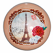 Paris Glass Magnet - Eiffel Tower and Flowers