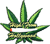 Greetings from Hollywood, High!