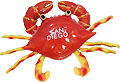 San Diego Beach Crab with Wiggly Legs, Souvenir Mag